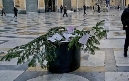 Napoli, rubato e poi ritrovato albero di Natale in Galleria Umberto