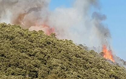Incendi Monte Serra, fermato presunto piromane