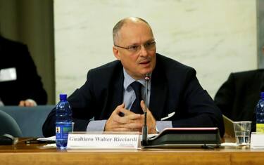 walter-ricciardi-ansa