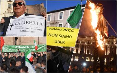 collage_ncc_manifestazione_ansa