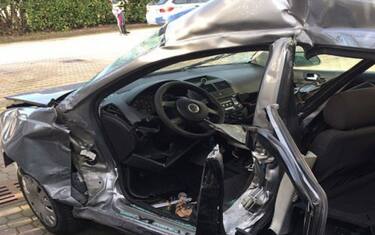incidente_cinghiali