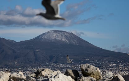Napoli, nel 2018 boom di presenze nel Gran Cono del Vesuvio