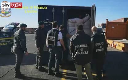 Cocaina, maxi sequestro a Livorno: 644 kg nascosti nei sacchi di caffè
