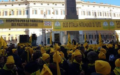 Latte, la protesta dei pastori sardi arriva a Montecitorio