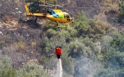Monreale, incendio sul Monte Caputo: vegetazione in fiamme