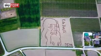 Leonardo Da Vinci come i cerchi nel grano, l'opera d'arte col trattore