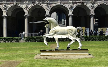 Milano, la statua di un unicorno nel cortile della Statale