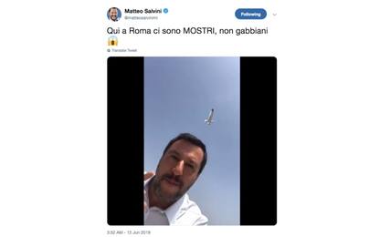 Salvini: “A Roma gabbiani come F35, dei mostri, togliete l’immondizia”