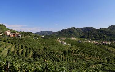 Prosecco, le foto delle colline nuovo Patrimonio Unesco