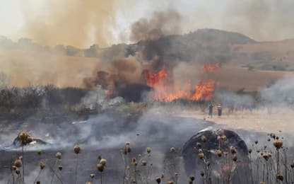 Vasto incendio nel nord della Sardegna, chiesti tre Canadair