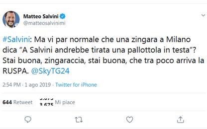 Salvini: "Zingaraccia mi augura proiettile, le mando la ruspa"