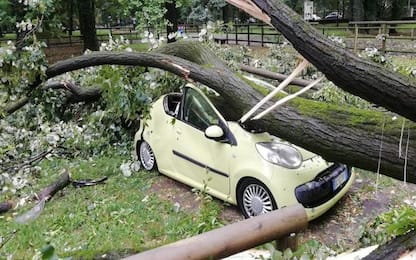 Monza, albero cade e distrugge balcone: feriti madre e figli
