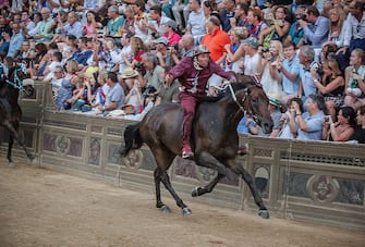 palio di siena contrade