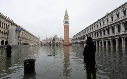 Acqua alta a Venezia: quote di allagamento. I DATI