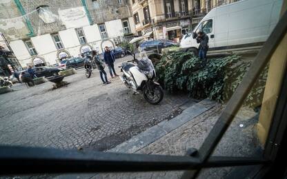 Napoli, alberi di Natale rubati e vandalizzati. FOTO