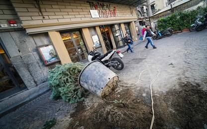 Napoli, rubato l’albero di Natale sistemato in piazza a Forcella