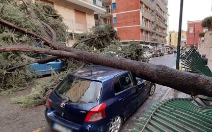 Maltempo a Napoli, alberi caduti in zona Vomero. FOTO