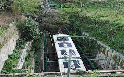 Maltempo a Capri: cade un albero sulla linea, paura in funicolare