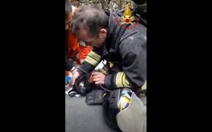 Incendio nel Milanese, i pompieri salvano e rianimano un gatto. VIDEO