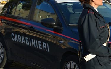 carabinieri_ansa
