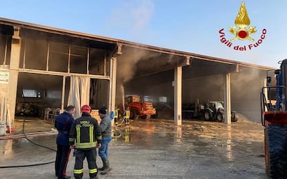Incendio in una cascina nel Cuneese, morti una decina di vitelli