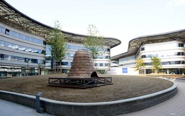 Torino, lancio di uova contro uffici rettorato dell’università