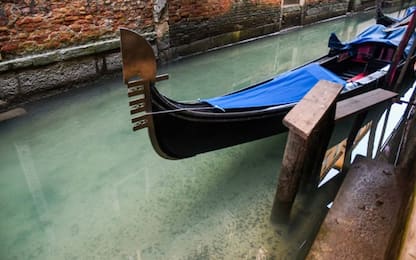 Coronavirus, a Venezia l’acqua dei canali torna limpida