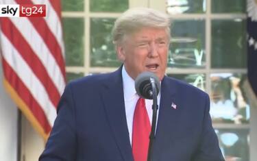 Coronavirus, Trump su aiuti a Italia: "Giuseppi was very happy". VIDEO