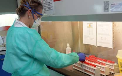 Coronavirus Piemonte: 499 nuovi casi, 4.060 guariti e 2.803 decessi