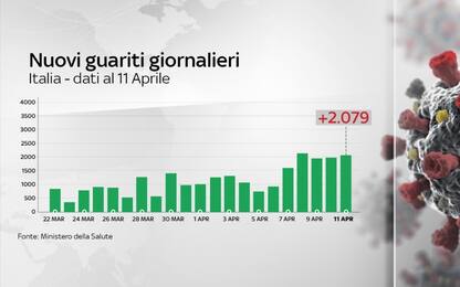 Coronavirus, in Italia 19.468 vittime: 619 in più rispetto a ieri