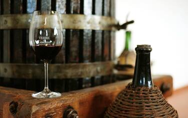 Fotogramma_Vino