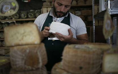 Export, crescono le vendite verso l'estero di formaggi italiani