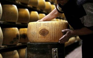 L'Italia primo esportatore di vini e formaggi negli Stati Uniti