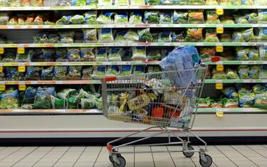 Istat, redditi e consumi in rialzo: al top dal 2011