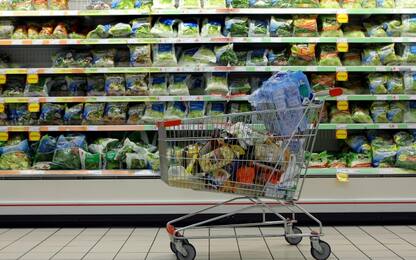 Istat, redditi e consumi in rialzo: al top dal 2011