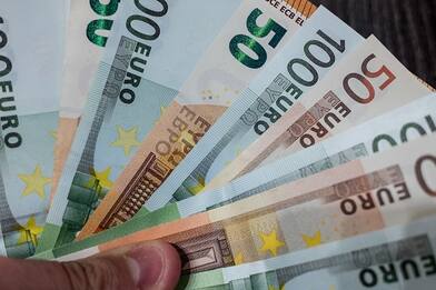 Germania, colf riceve per errore stipendio da 225mila euro e scappa