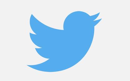 Twitter, rimossi 30mila account coinvolti in piano di disinformazione