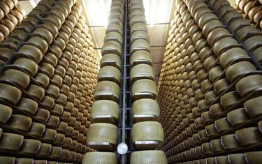 Parmigiano, Lactalis vuole comprare. Coldiretti: No alla svendita