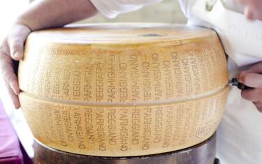 Lactalis acquista il Parmigiano Reggiano della Nuova Castelli