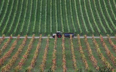 agricoltura_gettyimages
