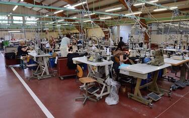 Imprese, Unioncamere: circa 27.000 in più nel 2019