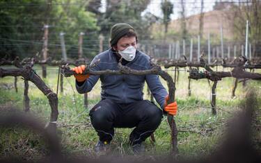 Coronavirus: Sindacati, no estensione voucher, precarizza lavoro