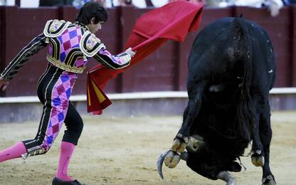 La corrida non entra nel Patrimonio dell'Umanità dell'Unesco