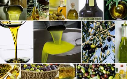 Olio extravergine d’oliva, la sostanza che ringiovanisce il cervello