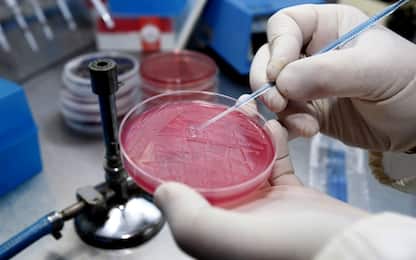 Troppi antibiotici negli ospedali europei, batteri più resistenti