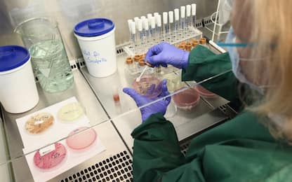 Batterio New Delhi, a Siena test per cure con molecola antimicrobica