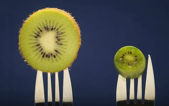 Kiwi, varietà resistente alla batteriosi