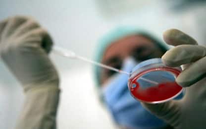 Rovigo, bando per biologi non obiettori per procreazione assistita