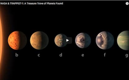 Annuncio Nasa: scoperti 7 pianeti simili alla Terra