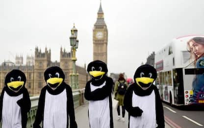 Londra, volontari vestiti da pinguini
